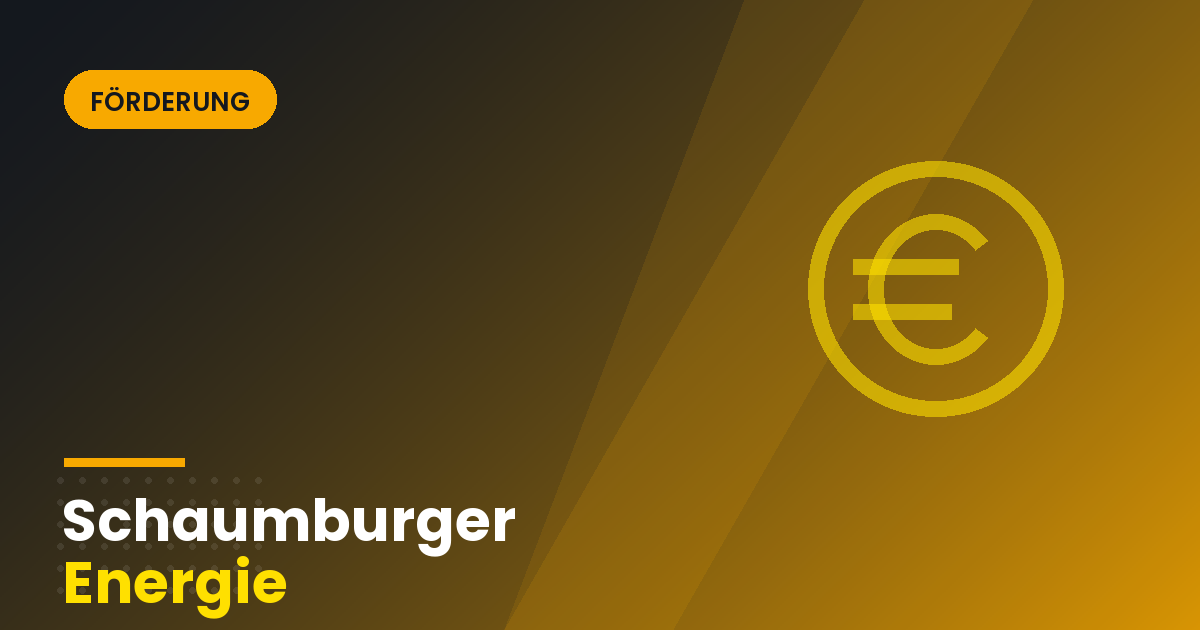 cover-bafa-foerderung-energieberatung